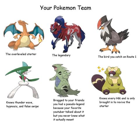 Everyones First Pokemon Team Your Pokemon Team The Overleveled