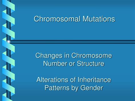 ppt chromosomal mutations powerpoint presentation free