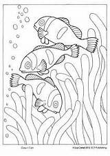 Coloring Great Reef Barrier Drawings 297px 27kb sketch template