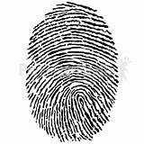 Clipart Fingerprint Fingerprints Finger Print Identity Science Real Tools Glass Clipground Powerpoint Panda Magnifying Clipartmag Designlooter Webstockreview Index Presentermedia Clipartlook sketch template