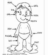 Body Parts Coloring Pages Kids Girls Printable Getcolorings Color sketch template