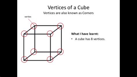 vertices   cube