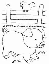 Porco Animais Porquinho Porcos Salvo Educação Atividades Maternal sketch template