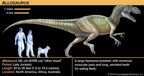 theropod carnivorous bipedal dinosaurs britannica