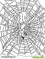Spinnen Kleurplaat Kleurplaten Ausmalbilder Spiders Malvorlage Ausmalbild Spinne Stemmen Zo Stimmen sketch template