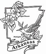 Arkansas Coloring Pages Flag Printable Illinois State Color Razorbacks Colorings Supercoloring Kids Facts Getcolorings Drawing Getdrawings Template Clipart Categories Silhouettes sketch template
