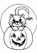 Colorare Gatto Coloring Disegni Zucca Kleurplaat Citrouille Poes Pumpkin Kleurplaten Dibujos Lantern Spider Immagine sketch template