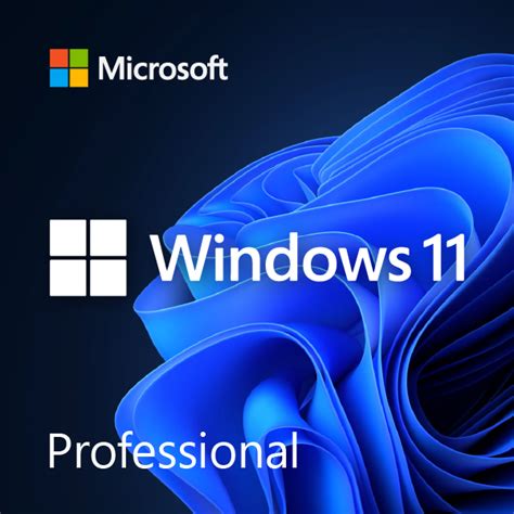 microsoft windows  professional