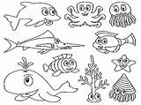 Ocean Coloring Pages Animals Kids Printable sketch template