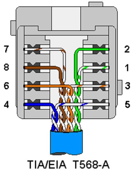 wiring  cat modular jack