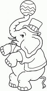 Zirkus Cirque Elefant Gajah Jongle Animaux Malvorlage Mewarnai Carnival Circo Cyrk Malvorlagen Kolorowanki Imprimer Coloriages Sheknows Dzieci Toddlers Stencils Ausmalbild sketch template