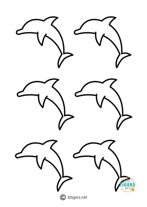printable dolphin templates lil tigers lil tigers
