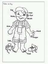 Coloring Body Pages Preschool Anatomy Visit Kids sketch template