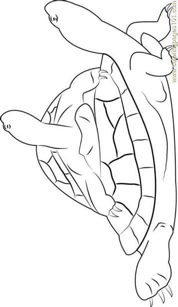 kids  funcom  coloring pages  turtles
