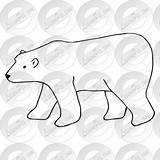 Bear Outline Polar Drawing Getdrawings sketch template