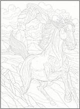 Color Number Horse Coloring Pages Horses Numbers Printable Adult Books Publications Dover Welcome Choose Board sketch template