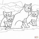 Kittens Cat Coloring Mother Pages Sand Drawing Kitten Clipart Printable Color Supercoloring sketch template