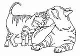 Cat Coloring Tabby Pages Printable Getcolorings Color sketch template