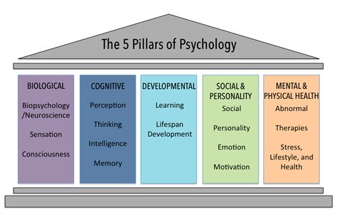 image   pillars showing  biological cognitive developmental