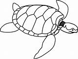 Turtle Tortoise sketch template