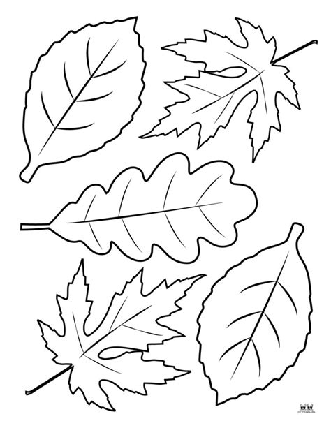leaf coloring pages   printables