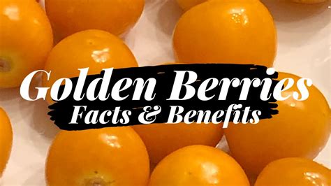 golden berries facts and benefits youtube