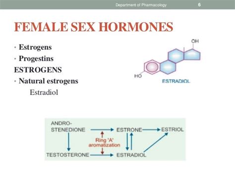 female sex hormones