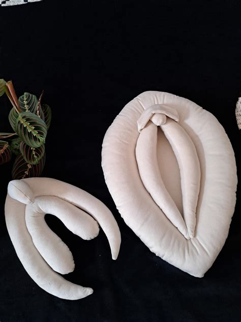 Vulva Anatomy Set Vulva Cushions Sex Education Gadget Pussy Etsy