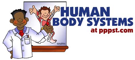 powerpoint   human body systems  kids
