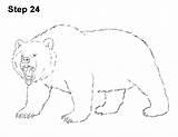 Growling Grizzly Roaring sketch template