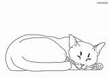 Cat Sleeping Coloring Cats Pages Sheets Printable Print sketch template