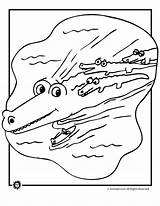 Coloring Alligator Pages Alligators Crocodiles Crocodile Printable Animals Print Kids Baby Drawing Color Library Clipart Popular sketch template