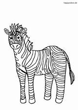 Zebra Einfaches Malvorlage sketch template