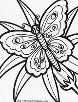 Coloring Butterfly Painted Lady Popular sketch template