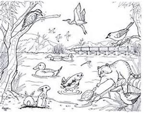 park coloring pages yahoo image search results landscapes