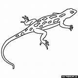 Lizard Coloring Pages Printable Animal Color Pets Lizards Kids Animals Books Thecolor Book Clip Print Search Choose Board Printcolorcraft Reptile sketch template