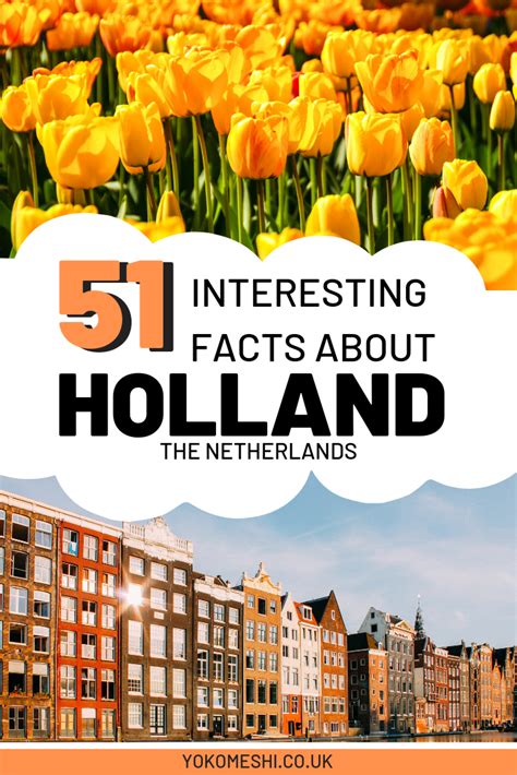 51 interesting facts about holland yoko meshi netherlands travel