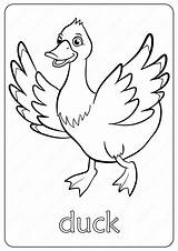 Duck Printable Duckling Kids Include Dxf Coloringoo sketch template