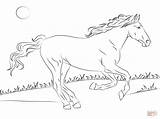 Coloring Pages Horse Draft Horses Popular sketch template