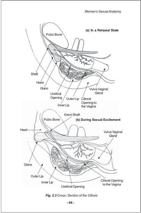 mantak chia healing love through the tao cultivating tao healing tantra