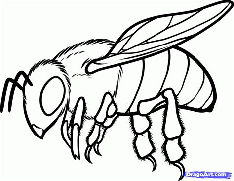 draw  honey bee step  step tutorial