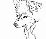 Husky Coloring Pages Printable Siberian Dog Sheets Print Color Getdrawings Getcolorings sketch template