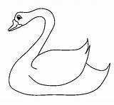 Cisne Cigno Pintar Gansos Swan Cigne Acolore Cisnes Dibuixos Moldes Cygne Dibuix Stampare Primitive Novembre Colorato sketch template
