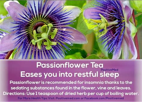 Pin By Angi Hardy On Food And Drink That I Love Passion Flower Tea