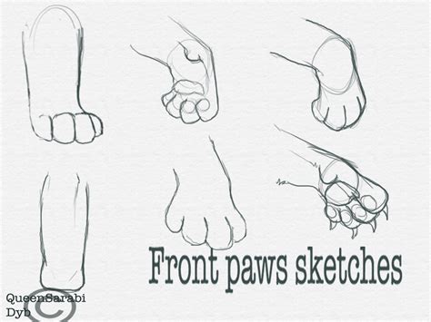 cat paw drawing  getdrawings