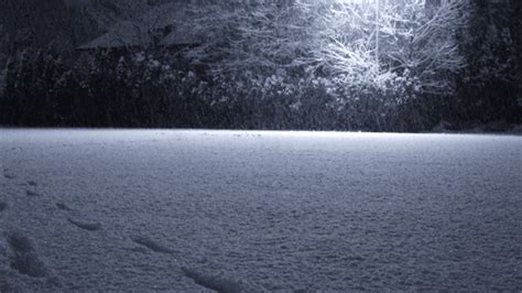 Beautiful Scene With Snow  On Imgur
