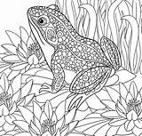 Paradise Coloring Pages Tropical Color Getcolorings Adult Getdrawings Printable sketch template