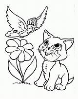 Coloring Puppy Kitten Pages Popular sketch template