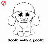 Beanie Boo Poodle Teddy Everfreecoloring Powerpost sketch template