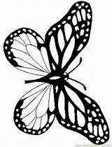Butterfly Coloring Monarch Pages Realistic Drawing Printable Pretty Book Beautiful Artículo Comments Info Getdrawings Clipartmag Choose Board Simple Coloringhome sketch template